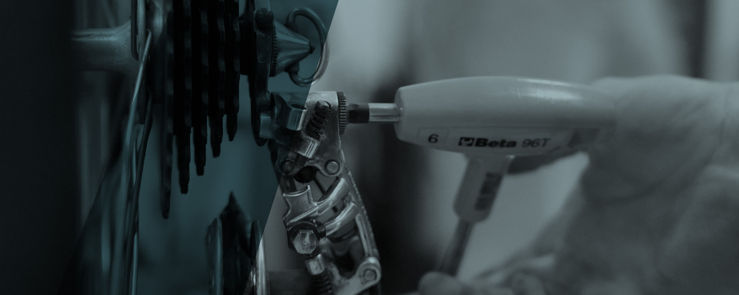 “Formazione completa grazie a docenti esperti””